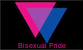 Bisexual Pride